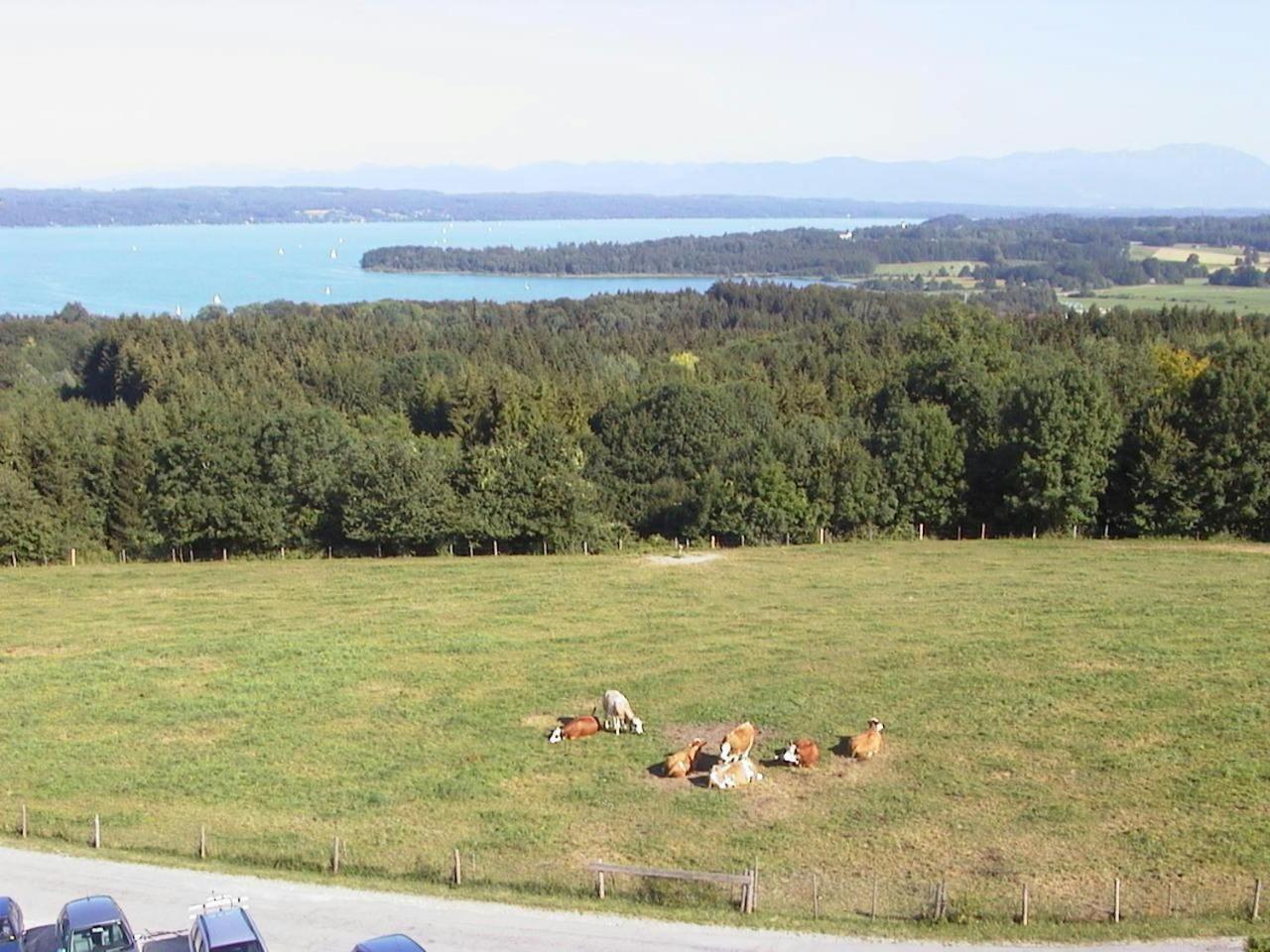 Casa Piedro Apartment Starnberg Luaran gambar
